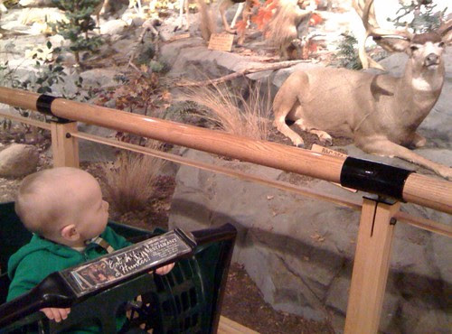 photo-3