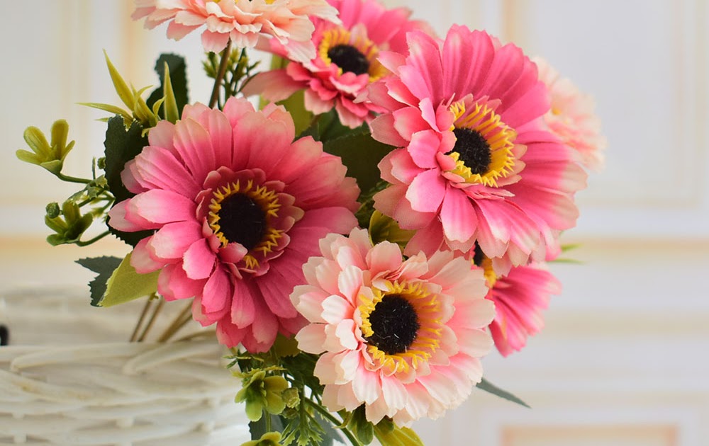 Gerbera Blumen Im Garten Über Blumen