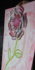 Flower 5-17-09 side view