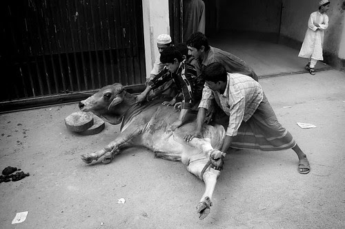 Eid-ul-Azha, 2007