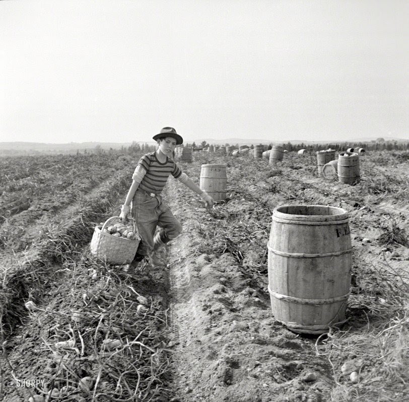 Tater Tot: 1940