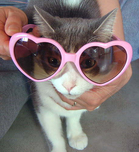 dex-and-pink-hearts