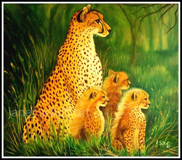 The Cheetah Family