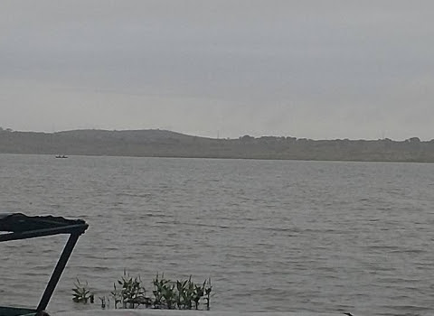 IMG_6663