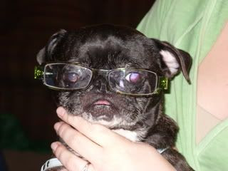 Da Bugg Gooroo