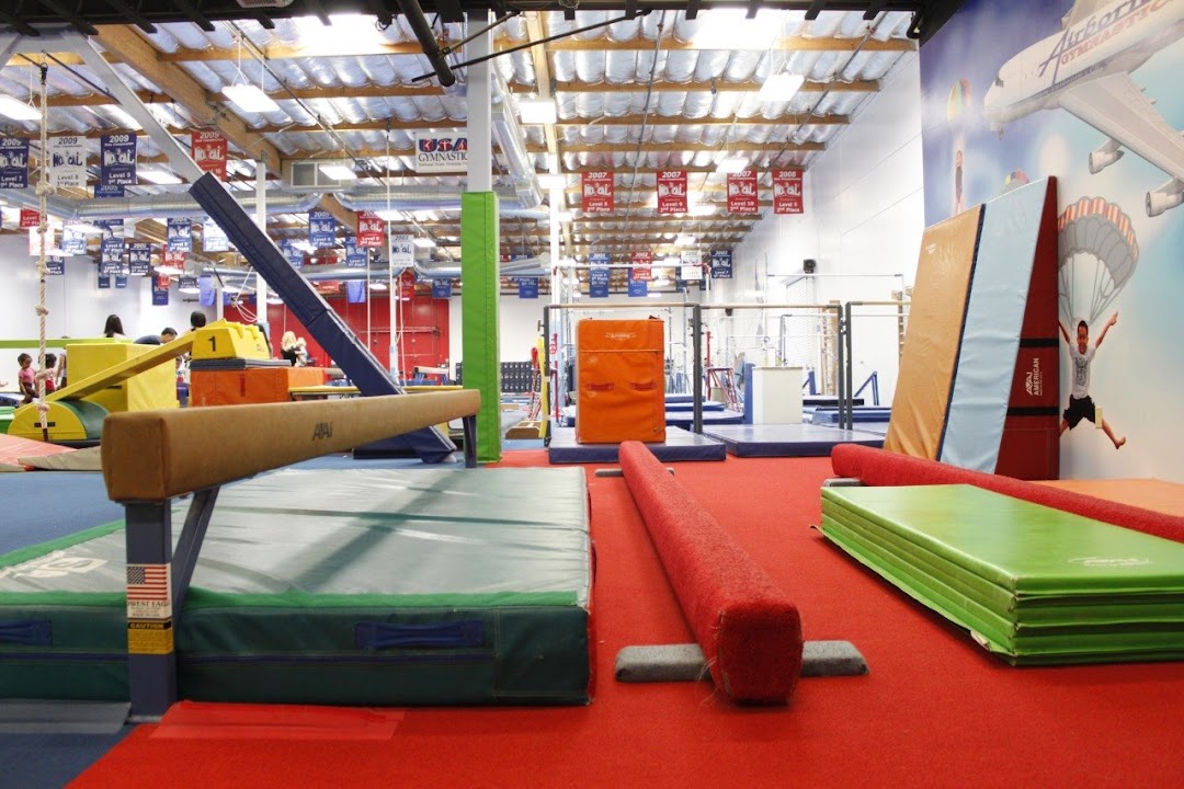 Airborne Gymnastics