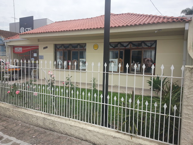 Clínica Veterinária Focinhos e Patinhas - Veterinário