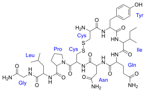 Chemical structure of oxytocin.