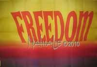 Flag Freedom Hand Painted Silk Worship Flag