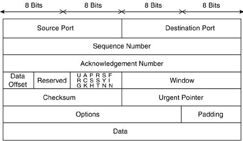 TCP/IP Suite Weaknesses ~ Defend Hackers, Secure The World