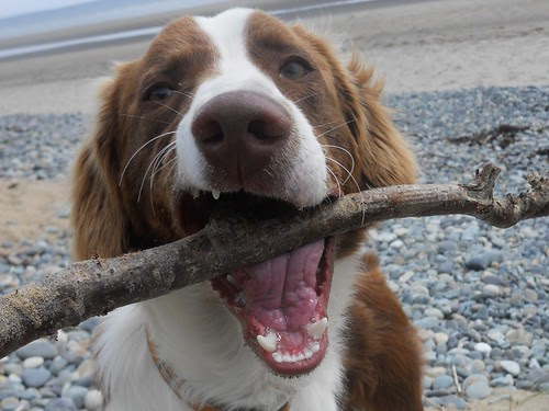 Ben at the Seaside