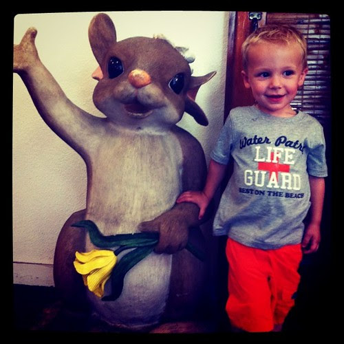 photo-22