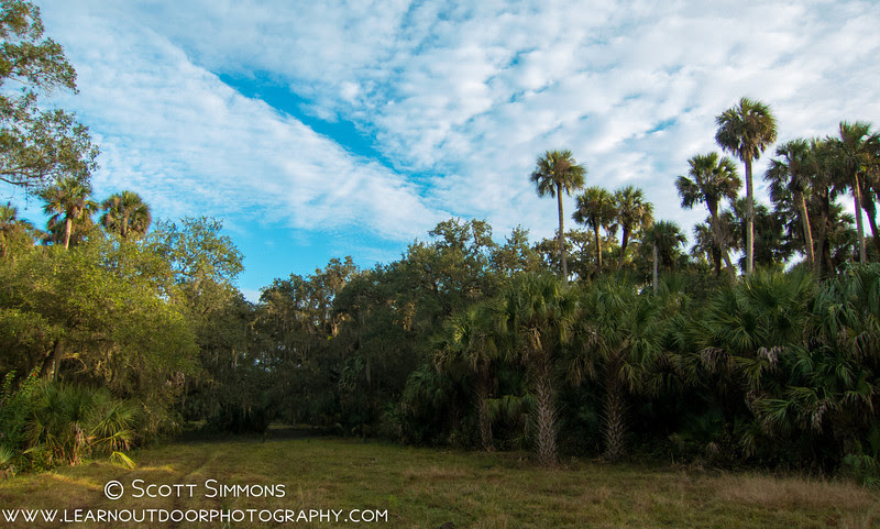 Photo & Video Sharing by SmugMug Photo & Video Sharing by SmugMug