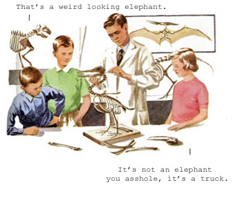 elephant elephant