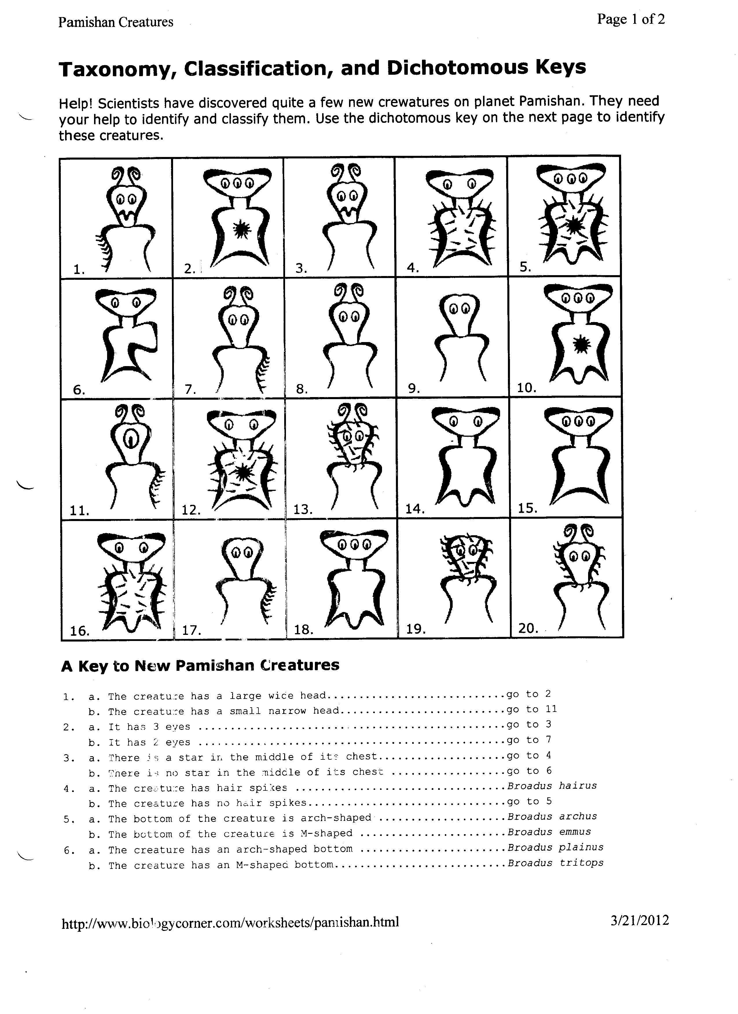 31 Protist Worksheet Middle School - Worksheet Resource Plans