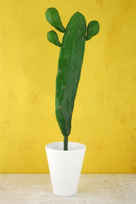 Tall 17" Cactus Stem Large Tall 17" Cactus Stem Large