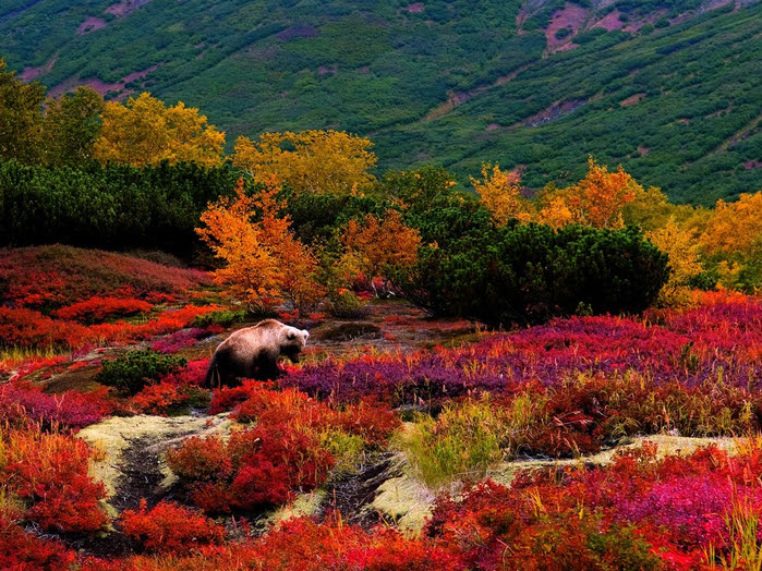 1b53a_0_7c34c_1d9c2828_orig (700x524, 606Kb)