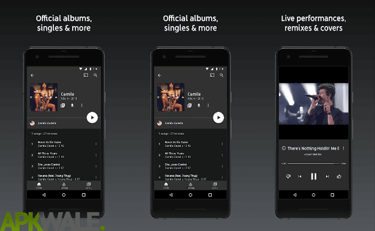 Apk Youtube Premium Download  Downloading videos through a youtube