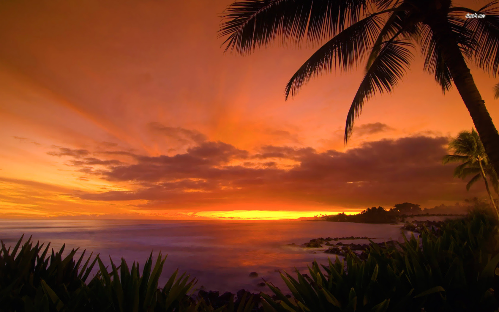 The 30 Little Known Truths On Sunset Beach Hawaii Surf Use Them In