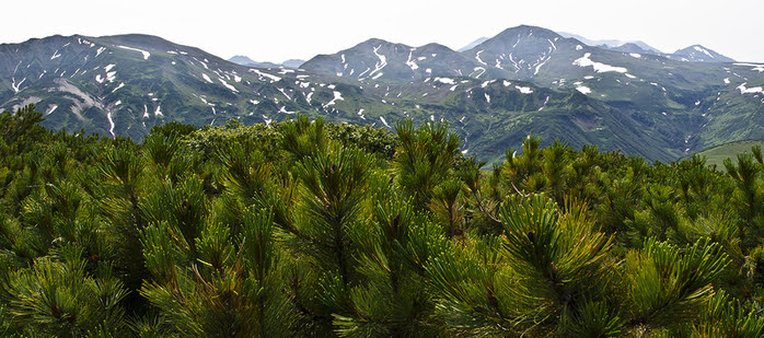 0_96291_42b173a7_XL (700x309, 353Kb)