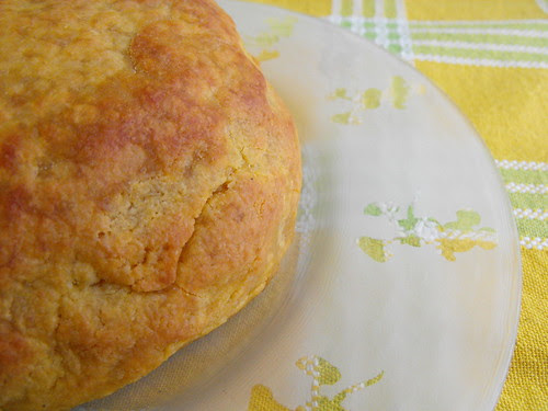 Pão de rala... chegou vivo depois de uma grande odisseia!!!
