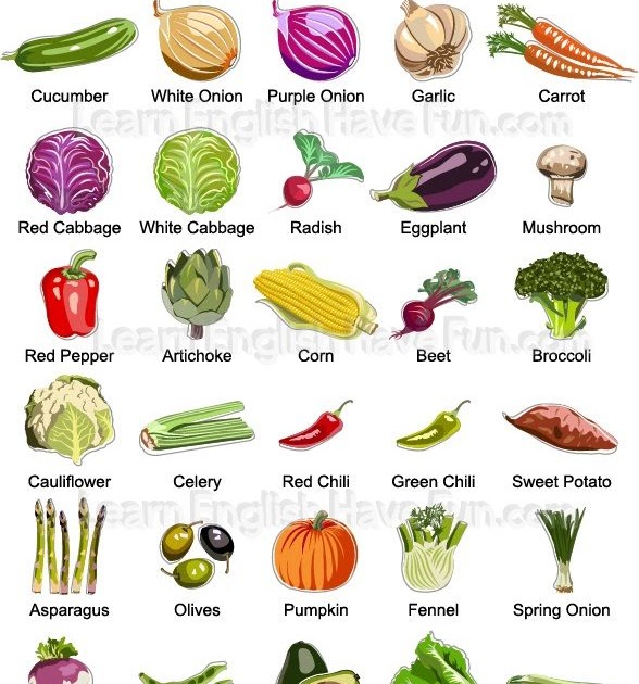 salary-vegetable-meaning-in-hindi-salary-mania
