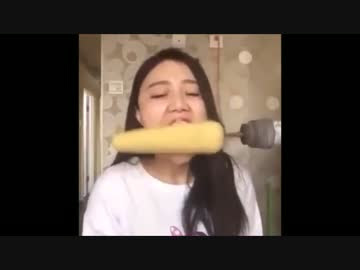 驚くばかり面白い 6 秒 動画 すべての動物画像