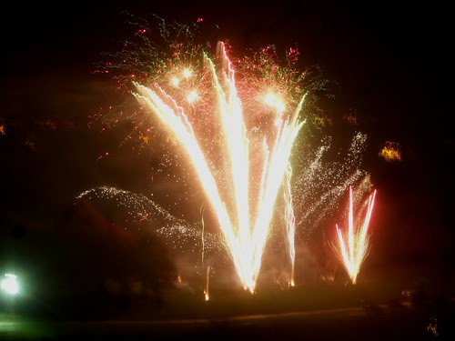 Liverpool Sefton Park Fireworks 2010