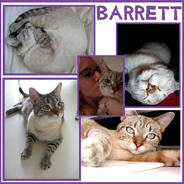 Barrett Collage