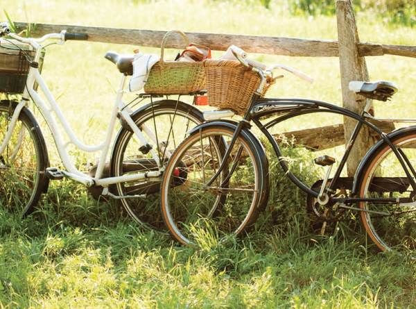 bicycles # summer # outdoor picnics # backyard fun