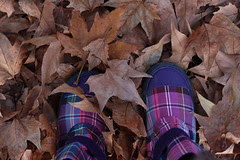 leaves and boots