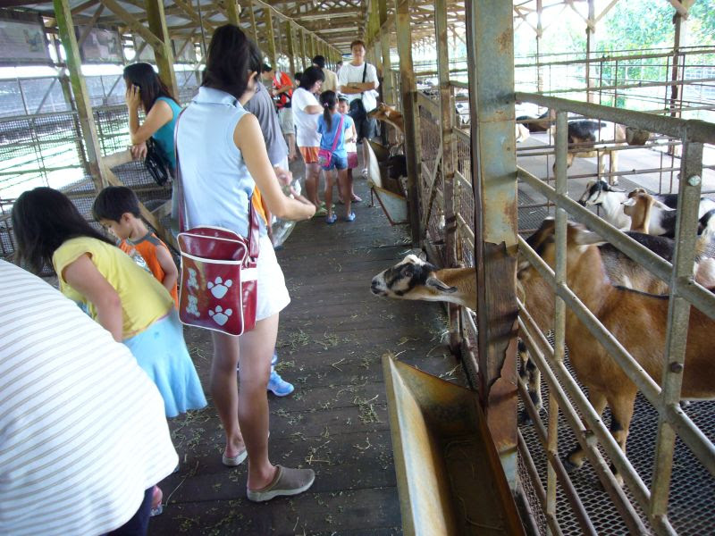 P1000086