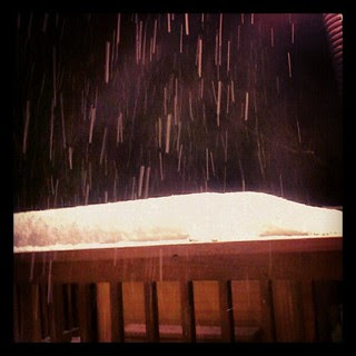 The #snow is falling again!