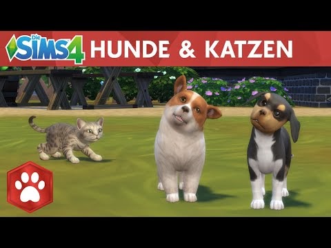 Ea Und Maxis Veröffentlichen Die Sims 4 Hunde Katzen Und