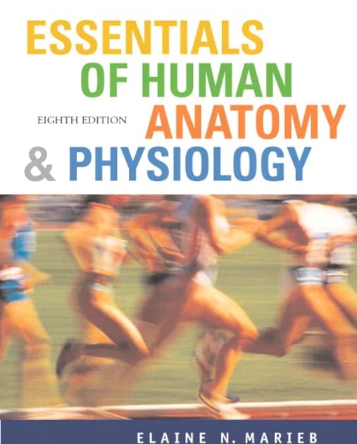human anatomy and physiology 8th edition pdf Anatomy Dataset 2021