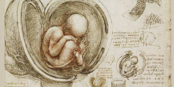 Drawing by Leonardo Da Vinci (1510-1512) Royal Collection U.K.