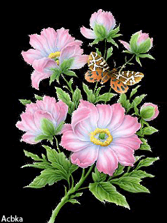 Цветок с бабочкой