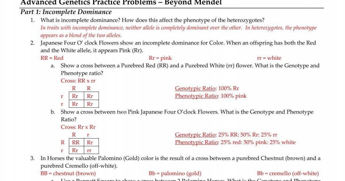 nonmendelian-genetics-problems-worksheet-pdf-non-mendelian-genetics-punnett-square-worksheet