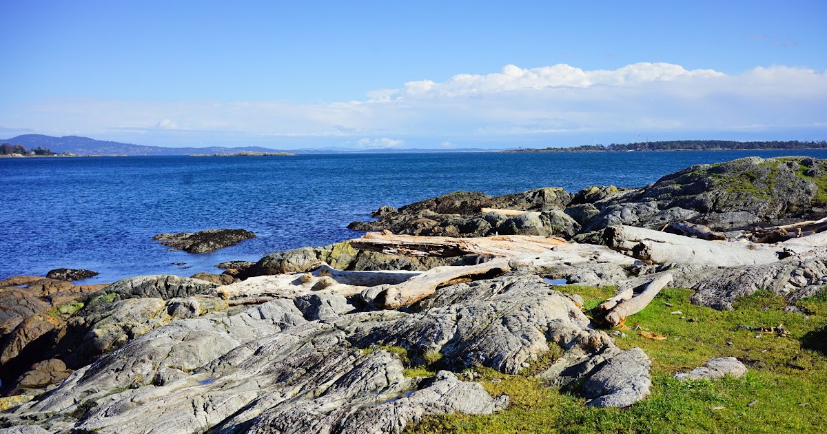 Victoria Daily Photo: Cattle Point