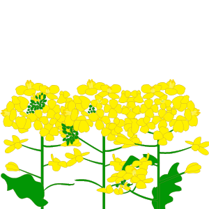 年の最高 イラスト 無料 3月 写真素材 フォトライブラリー