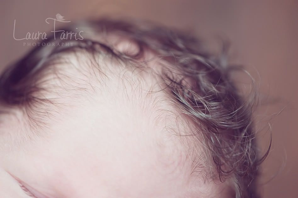 newborn photography Idaho