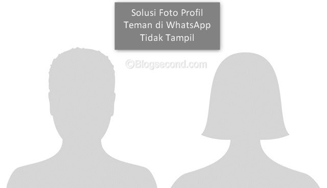 Foto Profil  Whatsapp Kosong  Lucu gambar  status lucu wa