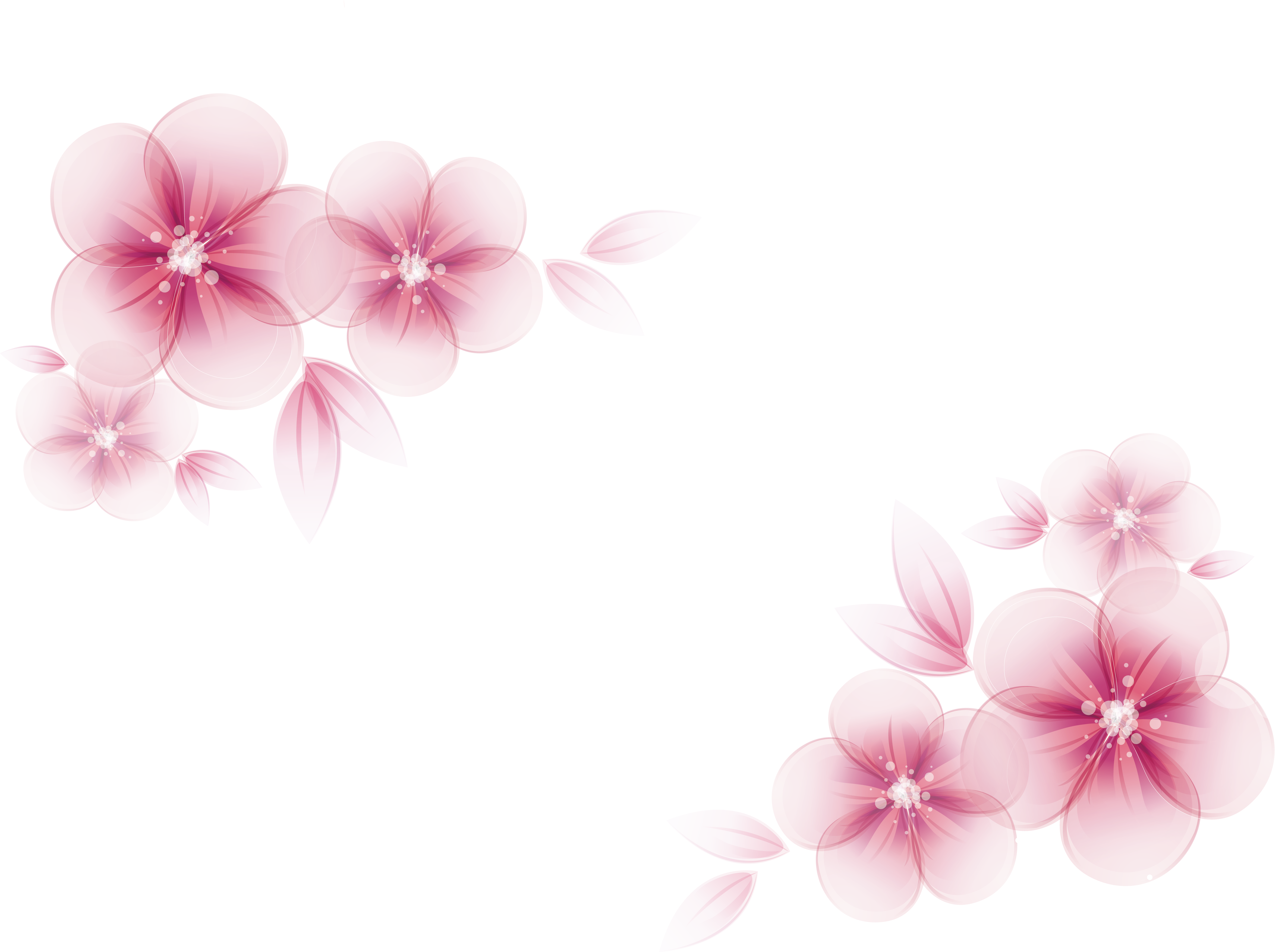 40 Koleski Terbaik Background Pink Bunga Vektor Fatiha Decor