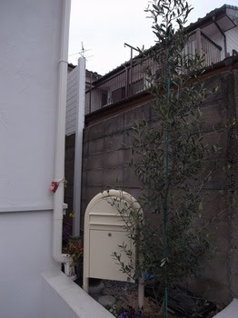 R0013181.jpg