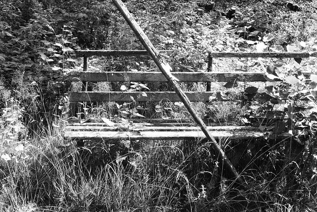 Verfall im Harz