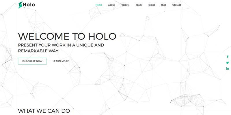 Holo