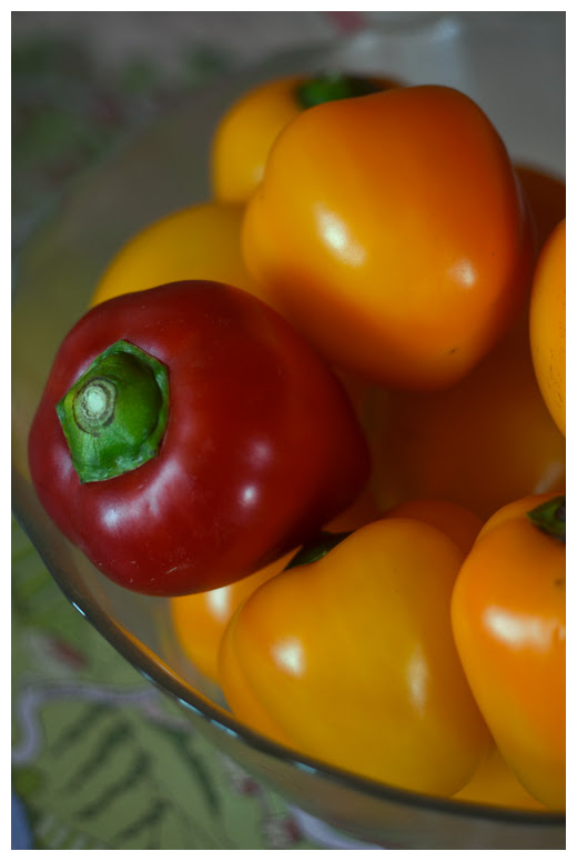 Capsicum© by Haalo