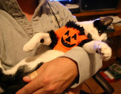 Abby's Halloween costume