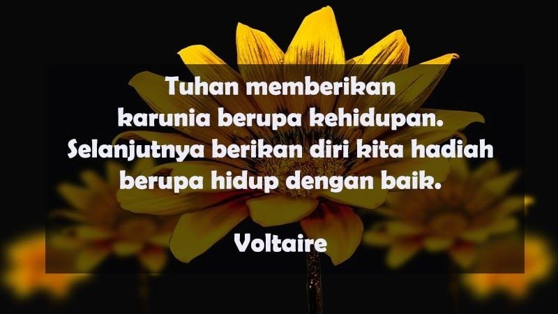 Kata Kata Mutiara Filsafat Kehidupan / Mutiara kata 2014 / Kata kata