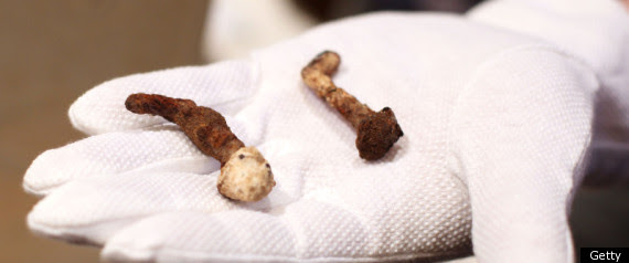 http://i.huffpost.com/gen/266098/thumbs/r-JESUS-NAILS-large570.jpg